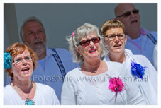 2013 Muziektuin Fotograaf (26).jpg